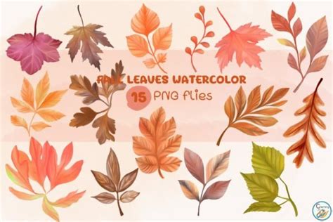 Watercolor Elements Fall Leaves Graphic By Charming Creative