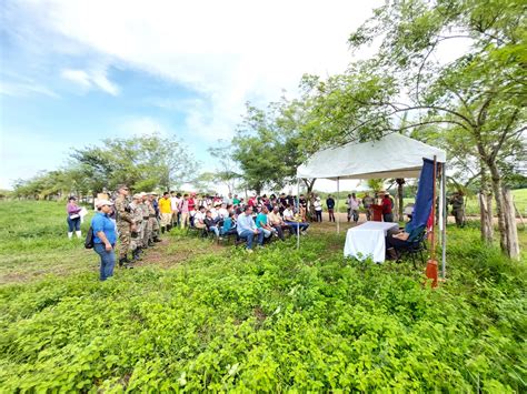 Panam Este Dice Presente En Gran Jornada De Reforestaci N Miambiente