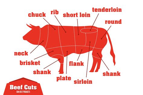 What Is the Difference Between Cube Steak and Round Steak? - Home-Ec 101