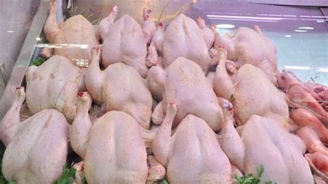 Prix du poulet Une hausse de 16 au 2ème trimestre 2021 Algerie Eco