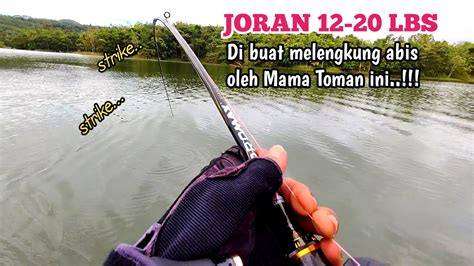 JORAN 12 20 LB AUTO MELENGKUNG POL DI HAJAR MAMA TOMAN BESAR