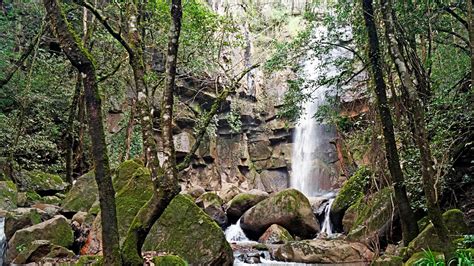 Explora El Encanto Natural De Mazamitla Jalisco Un Retiro Tranquilo