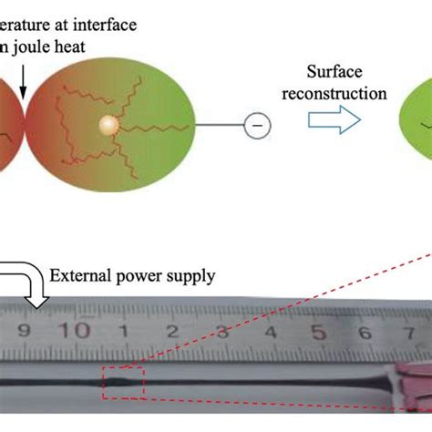 A Illustration Of Self Healing Process In Conductive Hydrogel B