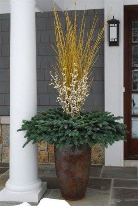 34 Inspiring Winter Container Gardening Ideas - MAGZHOUSE