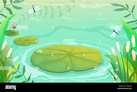 Marsh Scenery Stock Vector Images Alamy