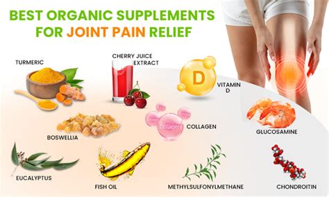 6 Best Supplements For Healthy Joints Green Organic Supplements Green Organic Supplements