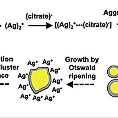 Schematic Representation Of The Nucleation And Growth Mechanisms For