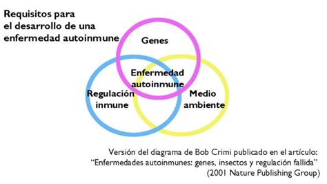 Las Enfermedades Autoinmunes Cuando En Tu Cuerpo Hay Fuego Amigo