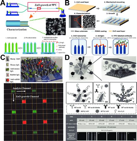 Microfluidics Enabled Immunofluorescence Sensing Applications Of Zno