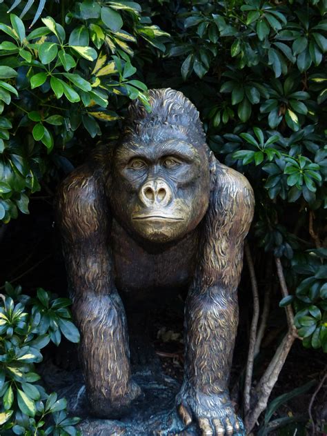 Brown Gorilla Statue Free Image Peakpx