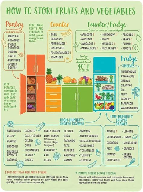 Kitchen Conversion Chart Magnet Cooking Measurements Kitchen Fridge