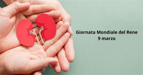 Giornata Mondiale Del Rene Oltre 4 Milioni Di Italiani Soffrono Di