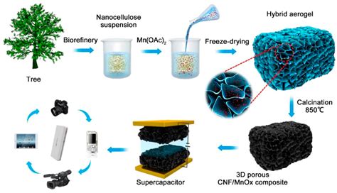 Polymers Free Full Text Composite Aerogels Of Carbon Nanocellulose