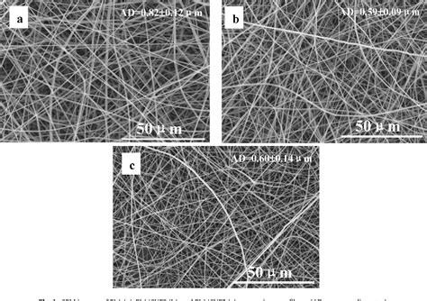 Figure 1 From Biomimetic Composite Scaffolds Based On Surface