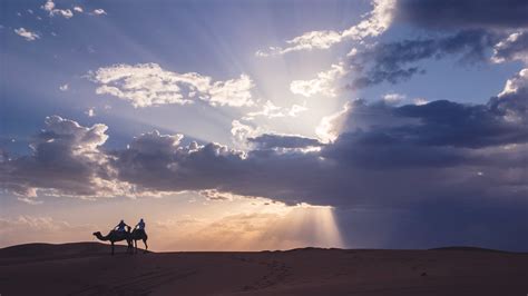 Riyadh Desert Safari Riyadh Desert Safari