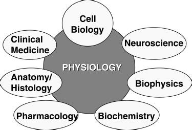 Relation Between Physiology And Related Medical Sciences Sefton 14