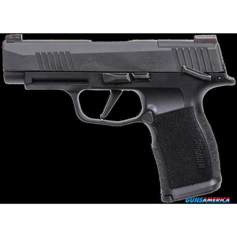 Sig Sauer P Xl Xl Bxr Ms New And Used Price Value