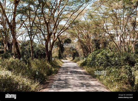 Exploring the country Stock Photo - Alamy 