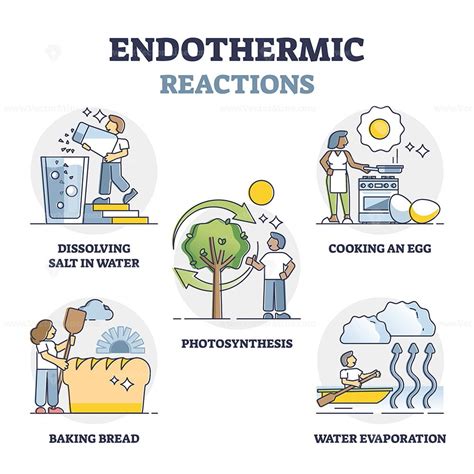 Endothermic And Exothermic Reactions Examples