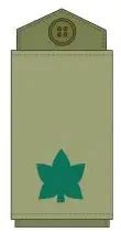 Israeli Army Rank Insignia