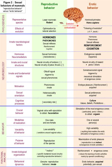 Figure 2 From Human Sexual Behavior Reproductive Behavior Or Erotic Behavior Semantic Scholar