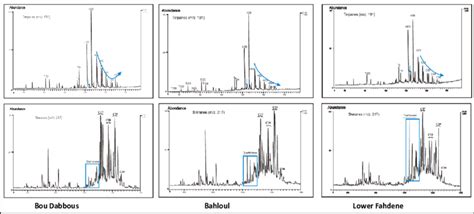 Mass Chromatogram Distribution Of Terpanes Mz 191 And Steranes Mz Download Scientific