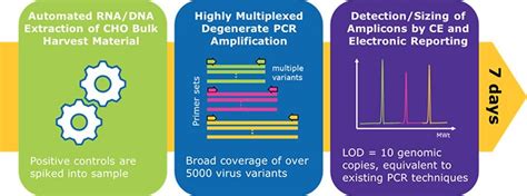 Rapid Molecular Testing Merck