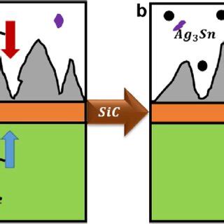 E Schematic Diagram Of Cu And Sn Fluxes At The Interface A Sac Cu And