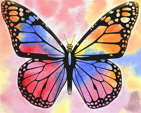 Multicolored Butterfly Paint By Numbers Numeral Paint Kit