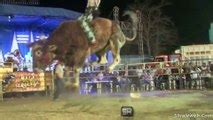 Muertes Caidas Porrazos Y Sustos Jaripeo Extremo Jinetes Montando Toros