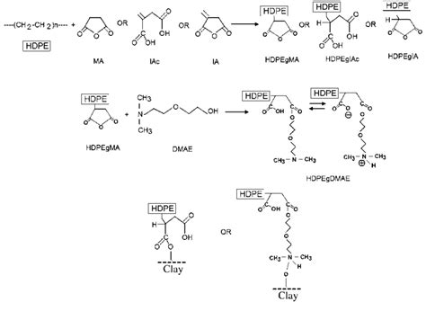 Scheme Describing The Functionalization Reaction Of HDPE By Grafting