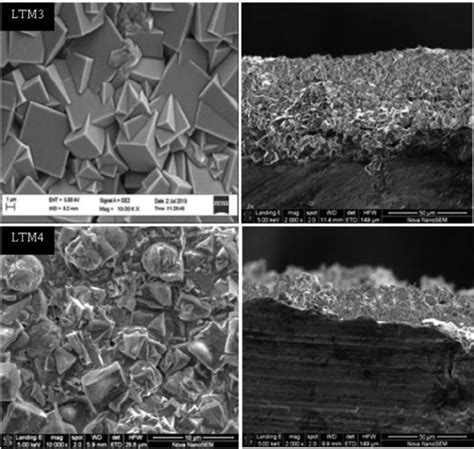 Sem Micrographs Showing The Surface View And Cross Sectional Area Of