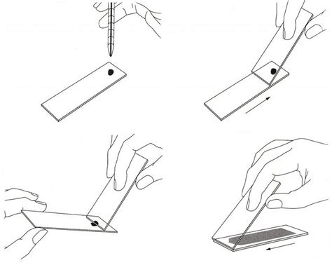 Peripheral Blood Smear Slide