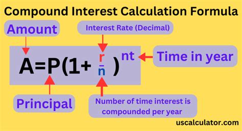 Simplify Your Finances With Our Compound Interest Calculator