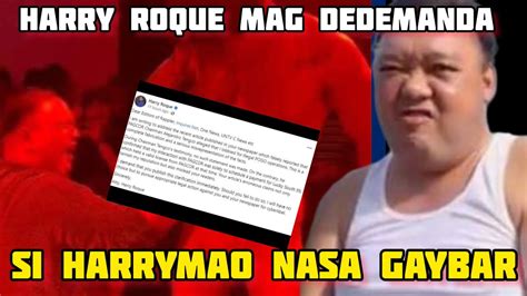 HARRY ROQUE IDEDEMANDA ANG MGA TAONG TINAWAG SYANG BAKLA YouTube