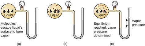 4 10 Phase Transitions Chemistry Libretexts