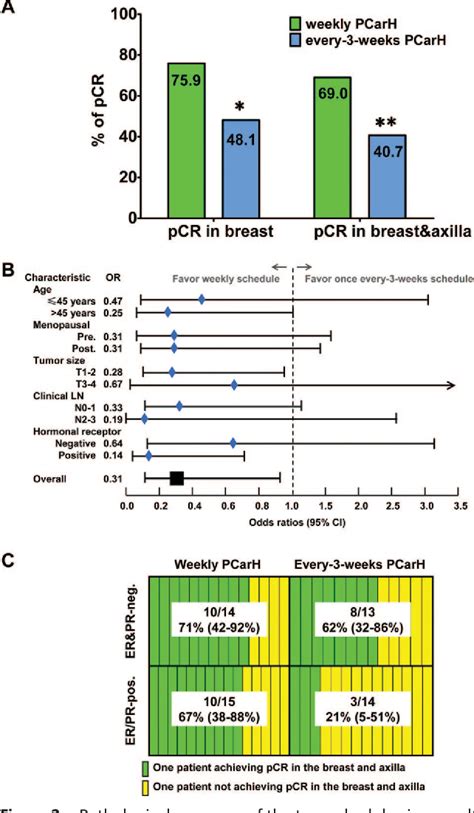 Figure From Weekly Paclitaxel Carboplatin Trastuzumab Therapy