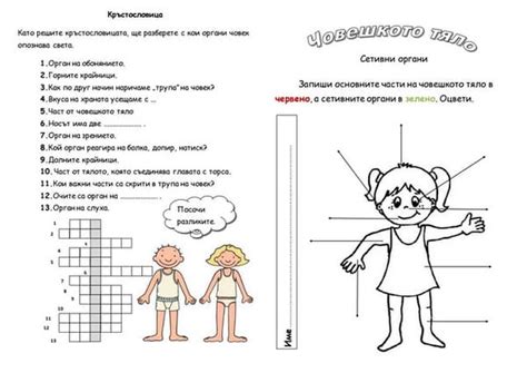 Правопис йо, ьо - работен лист