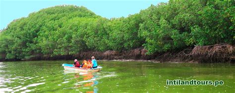 EL SANTUARIO NACIONAL MANGLARES DE TUMBES