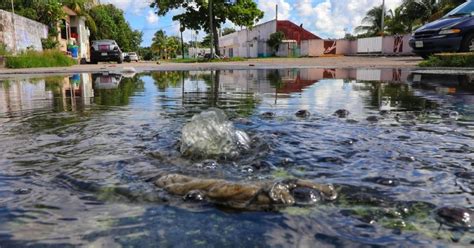 Cozumeleños hartos de la fuente de aguas negras en la avenida 95