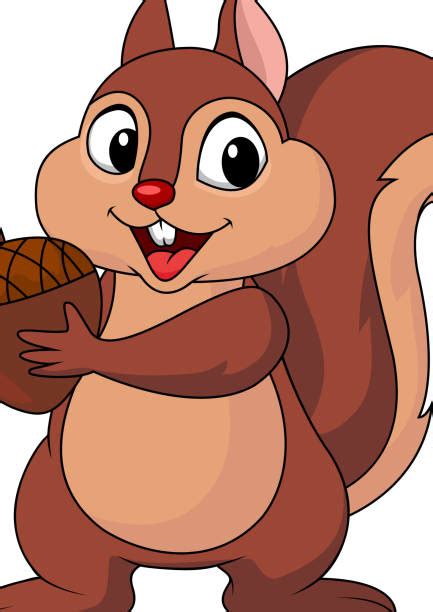 Squirrels Eating Nuts Cartoon Illustrations, Royalty-Free Vector Graphics & Clip Art - iStock