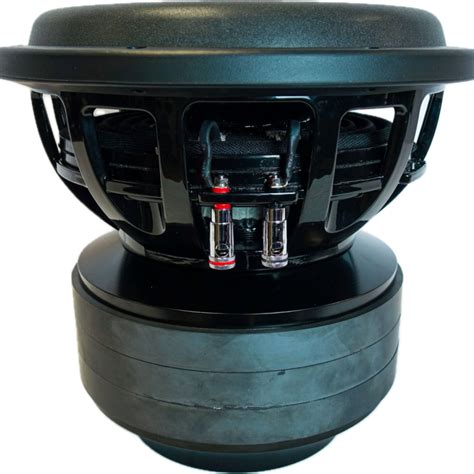 Subwoofers Shocking Sounds