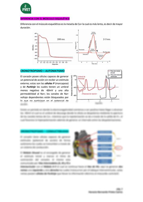 SOLUTION Fisiolog A General Del Sistema Cardiovascular Studypool