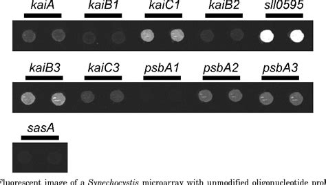 Figure 1 From Determinants Of Sensitivity And Specificity In Spotted