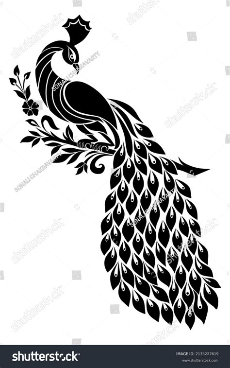 Peacock Print Designs