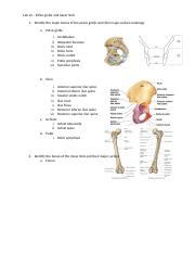 Biol Lab Practical Review Lab Docx Lomoarcpsd Lab