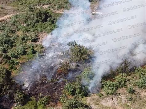 Voraz Incendio En Fluvial Vallarta Meridiano Mx