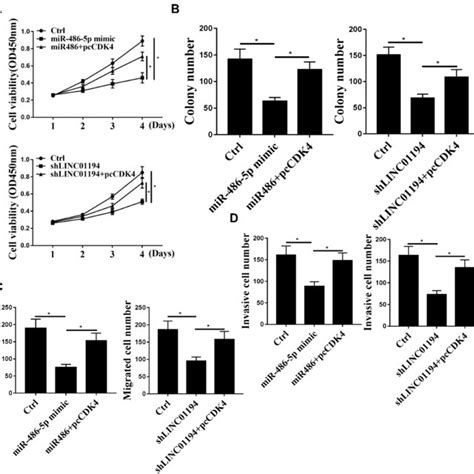 CDK4 Mediated The Role Of The LINC01194 MiR 486 5p Axis In NSCLC Cells