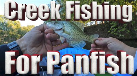 Creek Fishing For Panfish Youtube