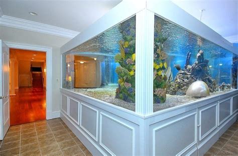 Check Out Arenas' Shark Tank Wall Aquarium, Home Aquarium, Aquarium ...